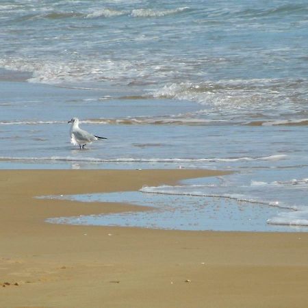 Vacanze A Casa Pozzallo Ngoại thất bức ảnh